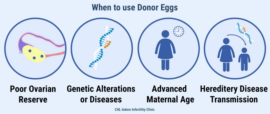 donor-eggs-get-best-solution-on-ivf-at-ivf-center-indore-1-indore