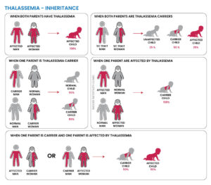 Thalassemia Inheritance