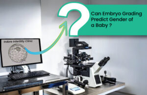 EmbryoGradingAnd Gender of Baby