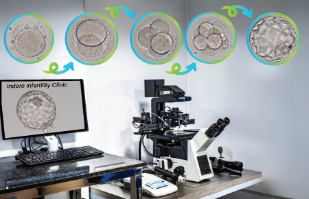 EmbryoGradingForPatientsGuide