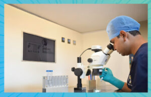 Embryologist Handling Gametes